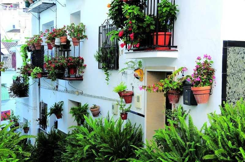La Viajera Apartment Алгаробо Екстериор снимка
